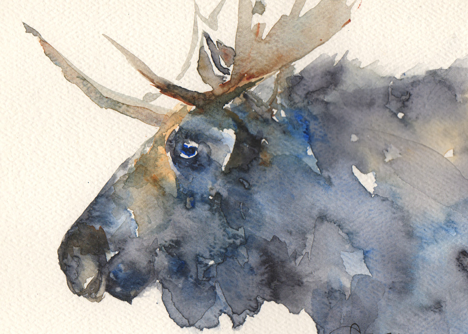 Square Moose Watercolor Print | Claudia Hafner Watercolor