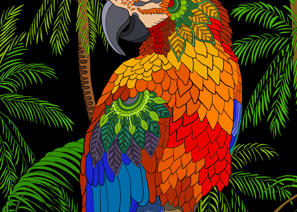Cool Macaw Nights
