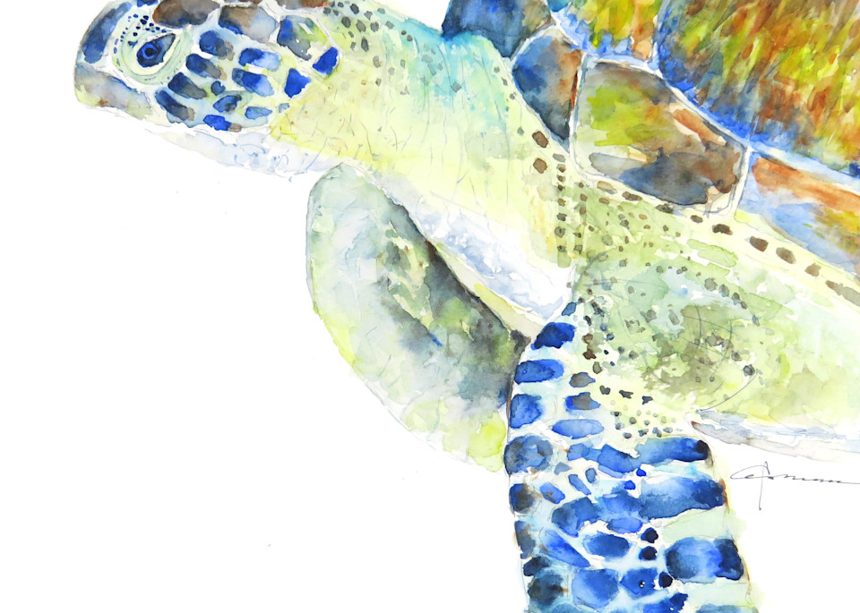 Sea Turtle 26 Art | Claudia Hafner Watercolor