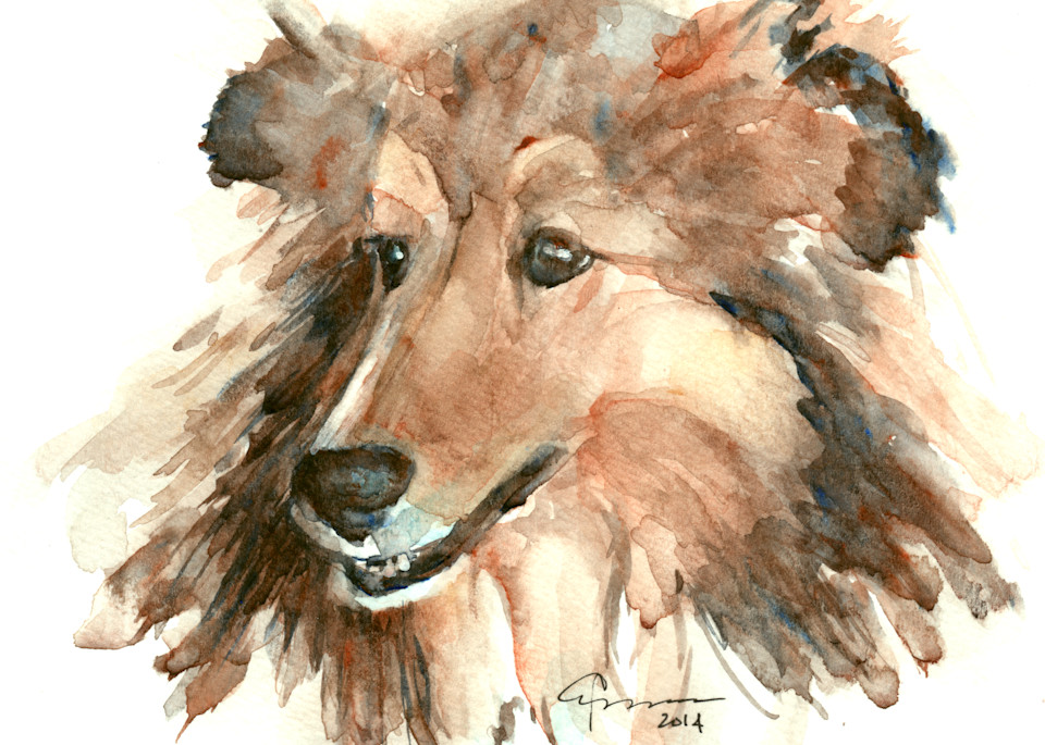 Shetland Sheepdog Art | Claudia Hafner Watercolor