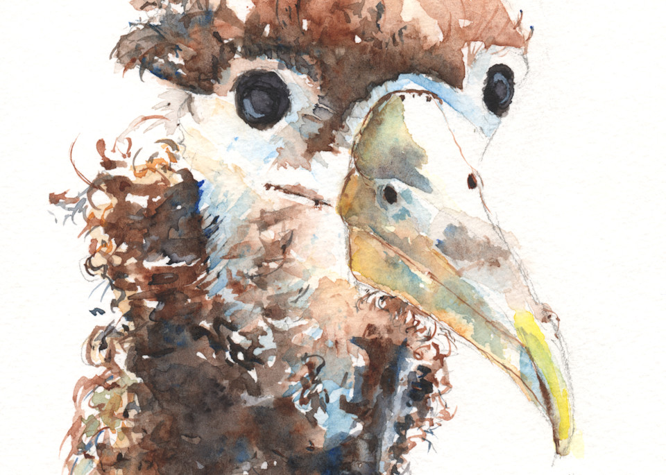 Albatross Chick Watercolor Print | Claudia Hafner Watercolor
