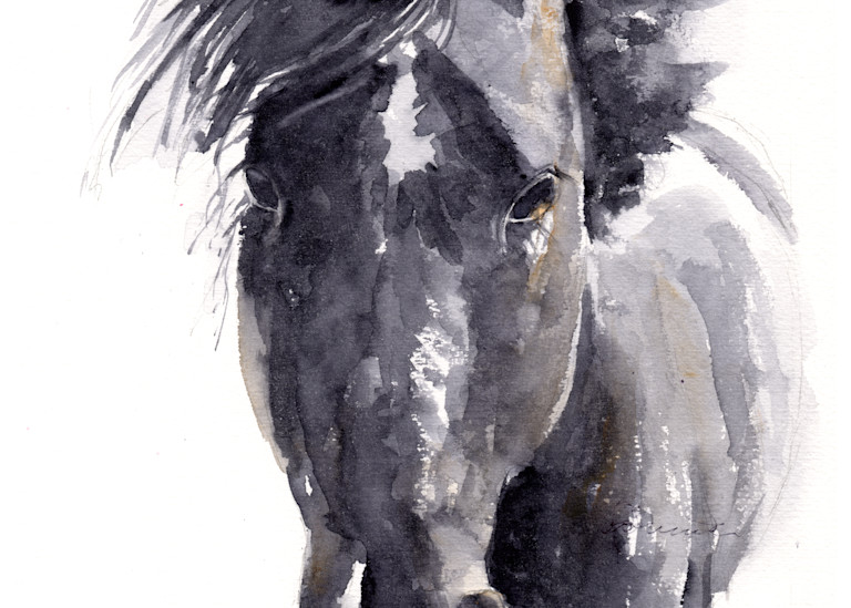Black Horse Watercolor Print | Claudia Hafner Watercolor
