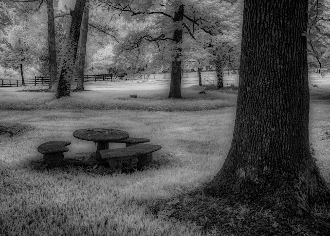Colorless Picnic