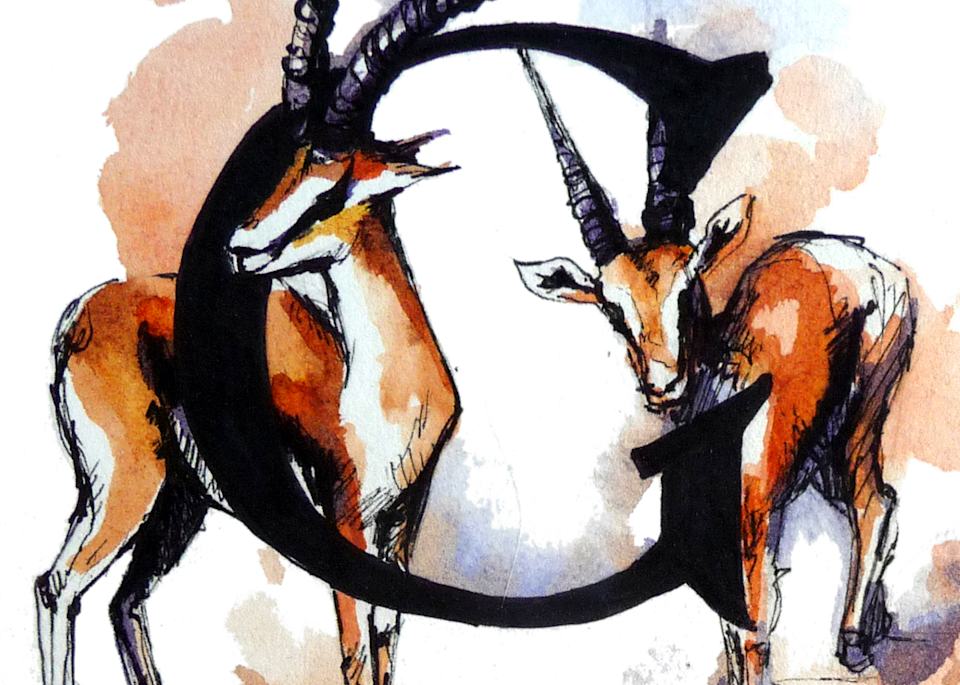 Gazelle Art | Meghan Taylor Art