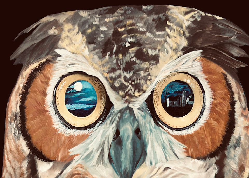 Wisconsin Nights In The Eyes Of An Owl  Art | Judy's Art Co.