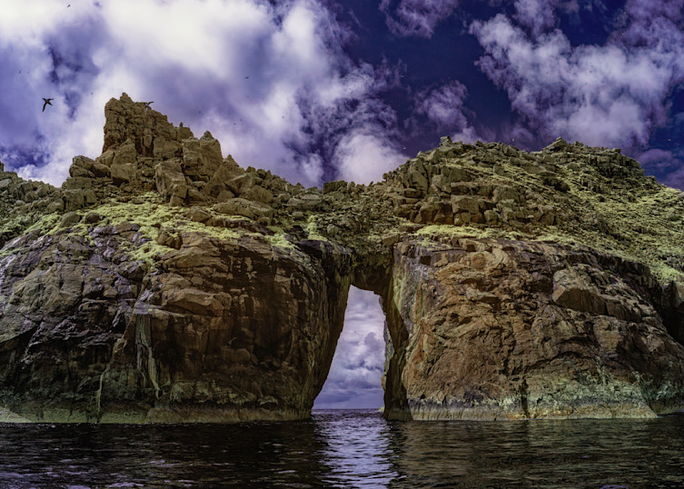 Sea Arch And Birds, Dùn Island, St. Kilda Group, Outer Hebrides, Scotland Photography Art | davidarnoldphotographyart.com