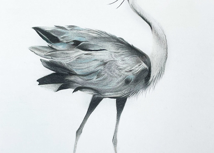 Dancing Heron  Art | Kathleen Slaven Art