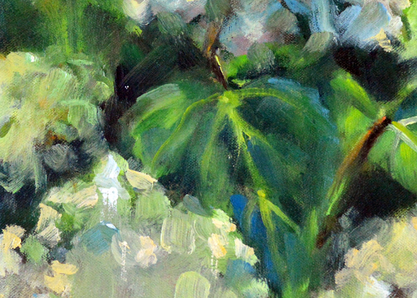 Catskill Hydrangeas Art | Meghan Taylor Art
