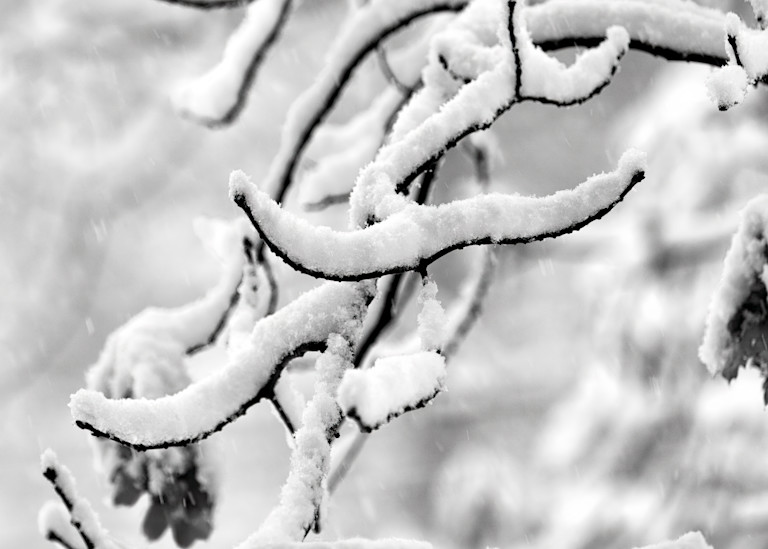 John E. Kelly Fine Art Photography – Snow Fall - Land and Sky
