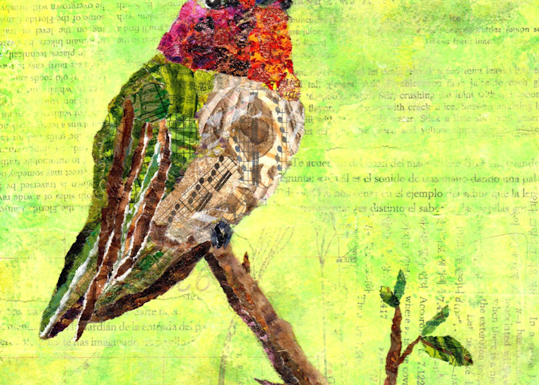 Jewels Of The Sky: Anna's Hummingbird Art | Poppyfish Studio