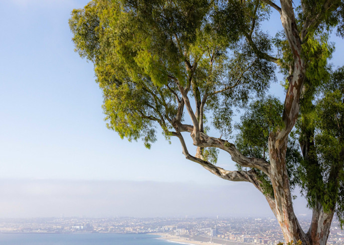 Palos Verdes And The South Bay Coast Art | Tim Truby Photography