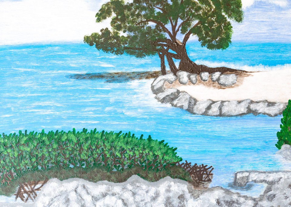 Cedar Watchkeeper Of The Florida Keys Art | Art With Feeling