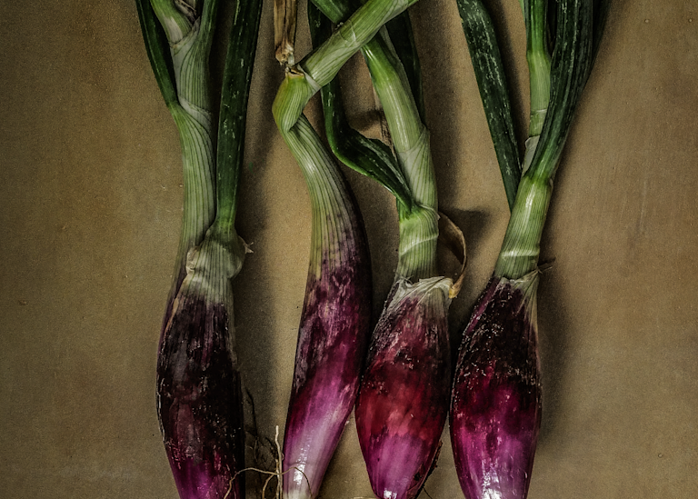 Victorian Vegetables: Deep Purple Onion Photography Art | The Elliott Homestead, Inc.