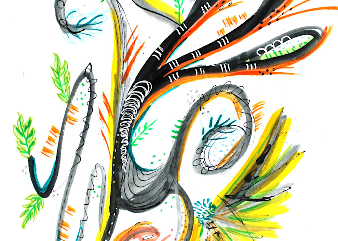 Feathers Art | ilianacardona