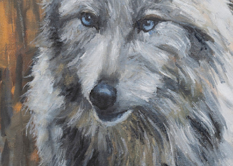 White Wolf Prints Art | Teresa Gooldy Art