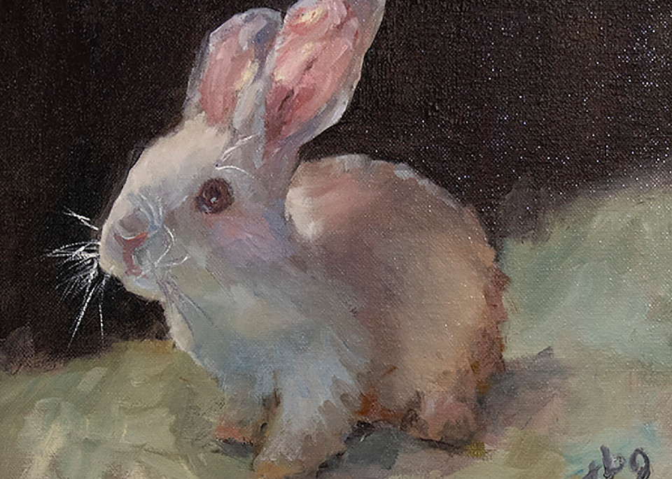 White Baby Bunny Prints Art | Teresa Gooldy Art