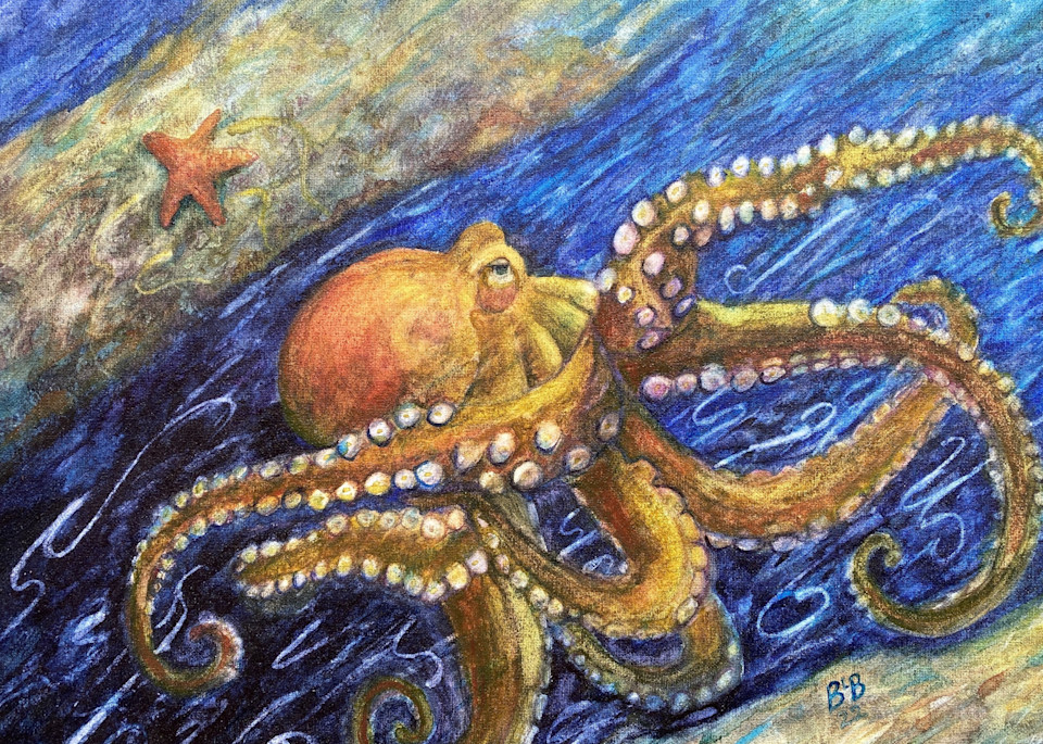Octopus Vs Ocean