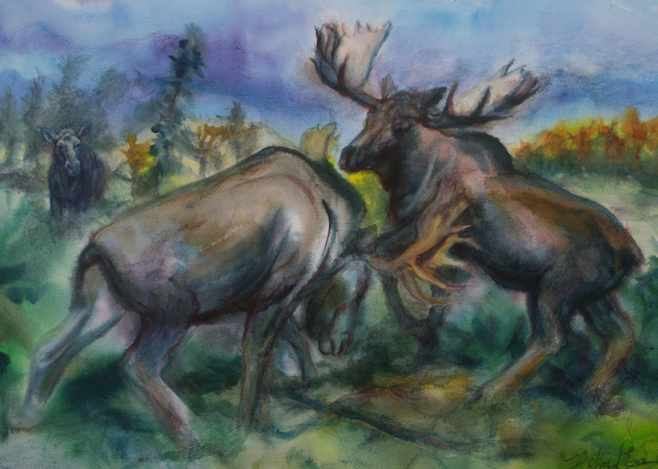 Moose Fighting Art | Debra Lee's Art