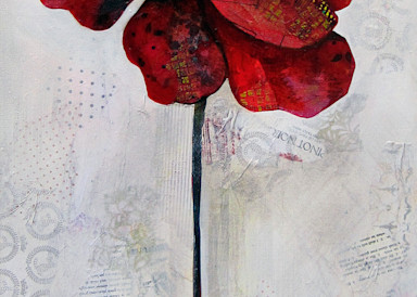 Winter Poppy II -  by Shadia Derbyshire