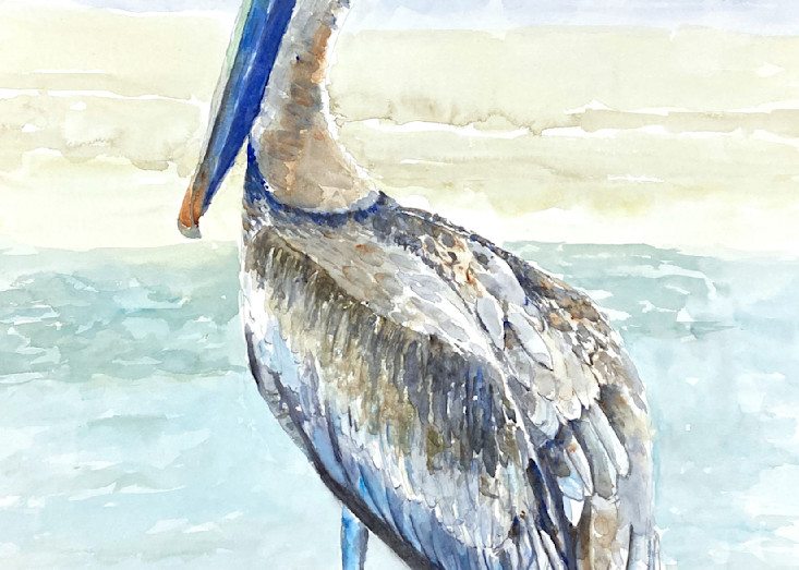 Pelican Pose 6 Watercolor Painting