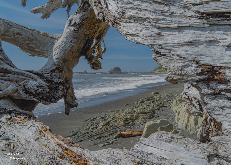 Driftwood Window Olympic National Seashore Art | Ron Ware Photography