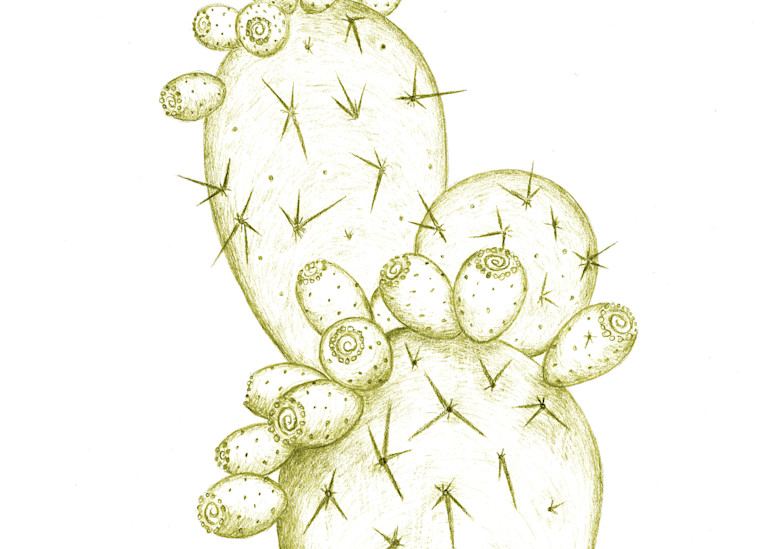 Prickly Pear Yellow Art | Morgan Trading Company