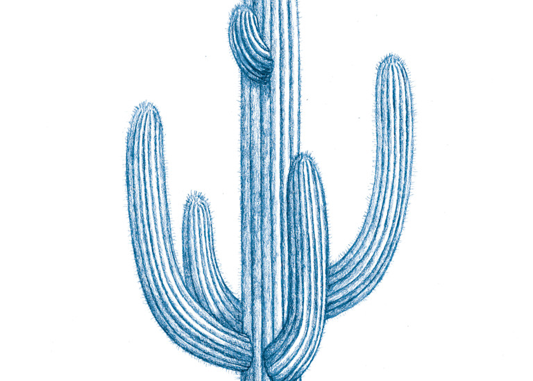 Saguaro Blue Art | Morgan Trading Company