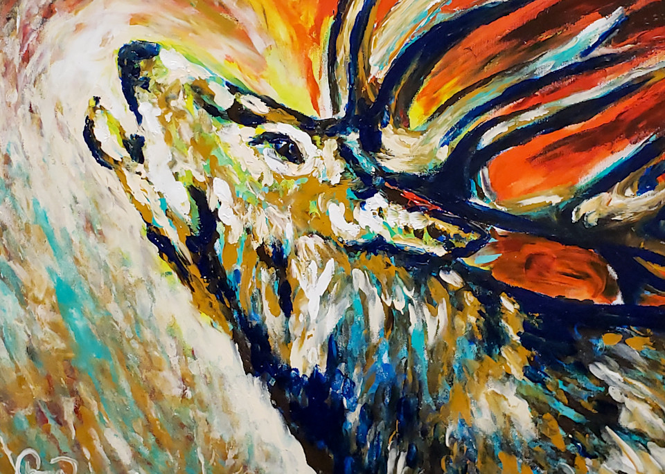 Elk 2.O Art | Mountain Tidings