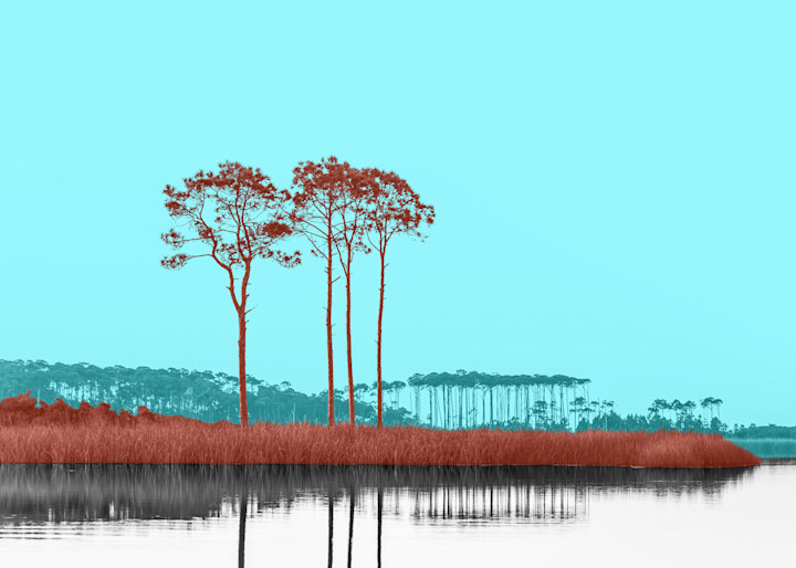 Warhol Lake Red Reeds Art | Modus Photography