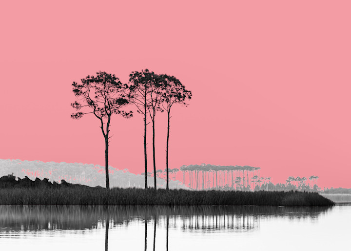 Warhol Lake Minimal Art | Modus Photography