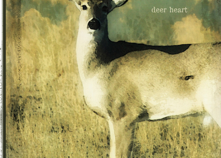 Courage Deer Heart Art