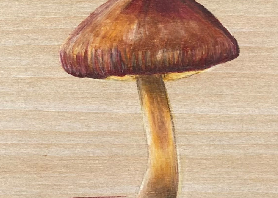 Molly Mushroom Art | The Art and Paw