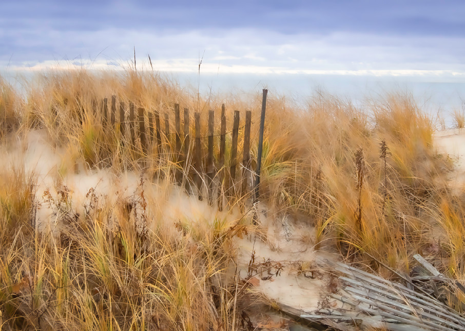 Cape Cod Dune Art | Sarah E. Devlin Photography