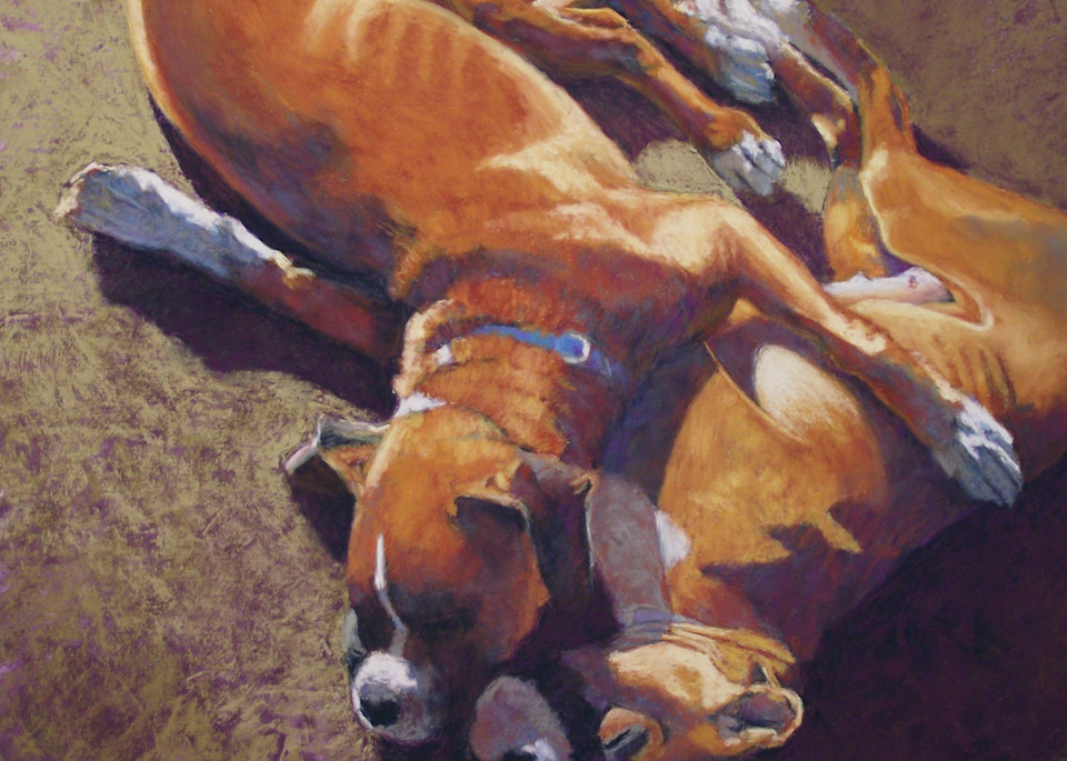 Painting of Boxer Dogs | Pet Portrait | Dog Prints | Parnell Studios