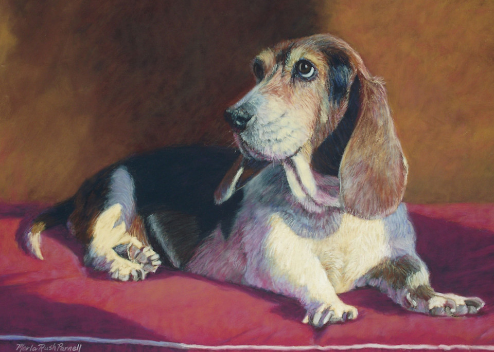 Basset Hound Painting | Print | Dog Portraits | Parnell Studios