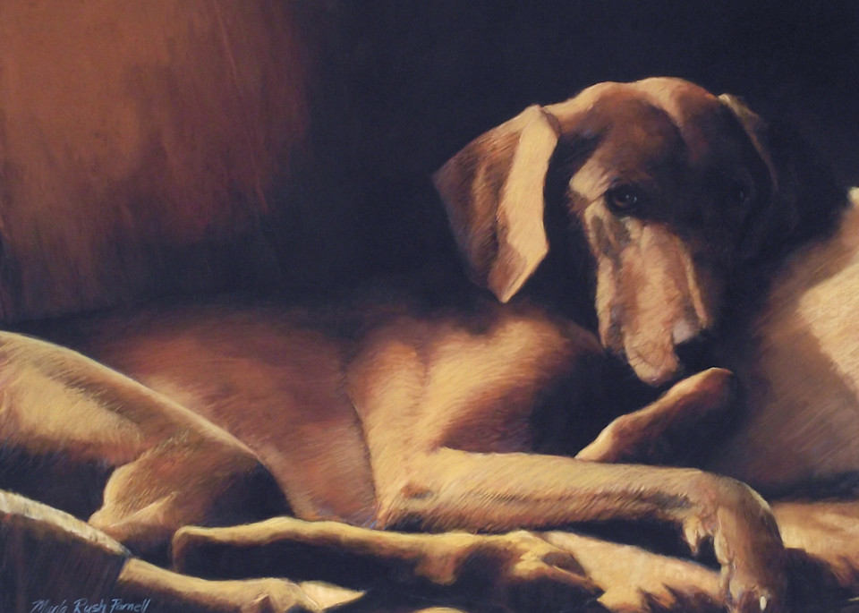 Weimaraner Painting | Pet Portraits | Dog Prints | Parnell Studios
