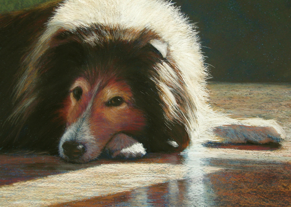 Sheltie Painting | Pet Portraits | Dog Prints | Parnell Studios