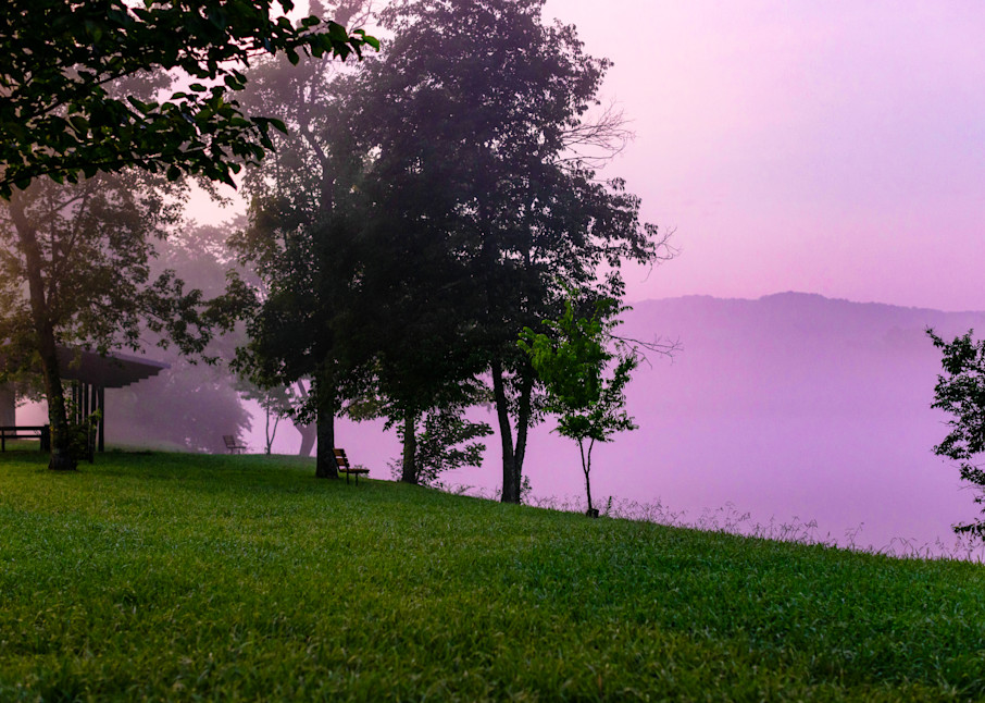 Pink Morning Photography Art | Tyanna Renee' Gallery