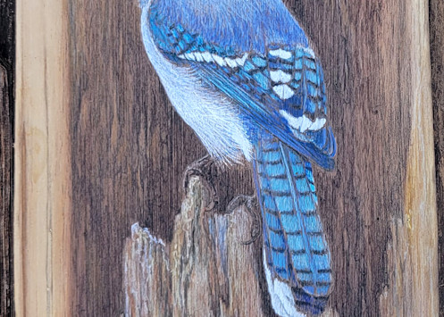 Blue Jay #1 Art | Lori Vogel Studio