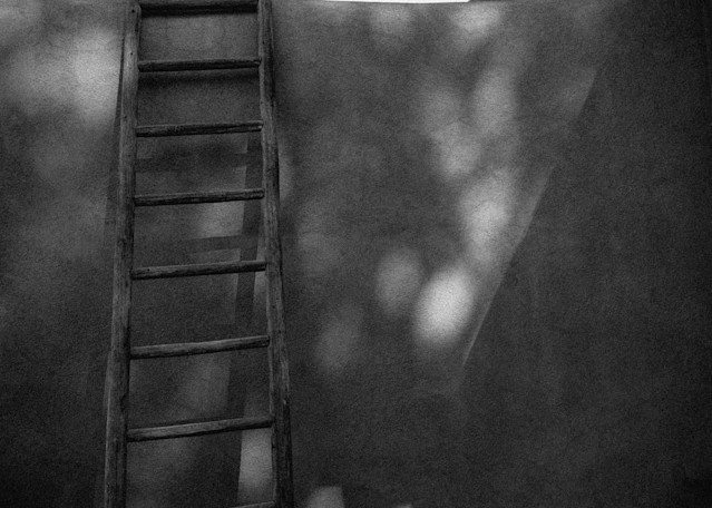 Ladder to the Roof