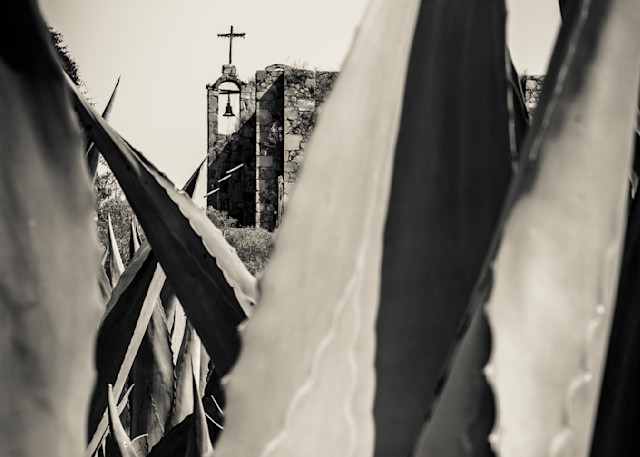 Agave And The Cross Photography Art | Patricia Claire Photography