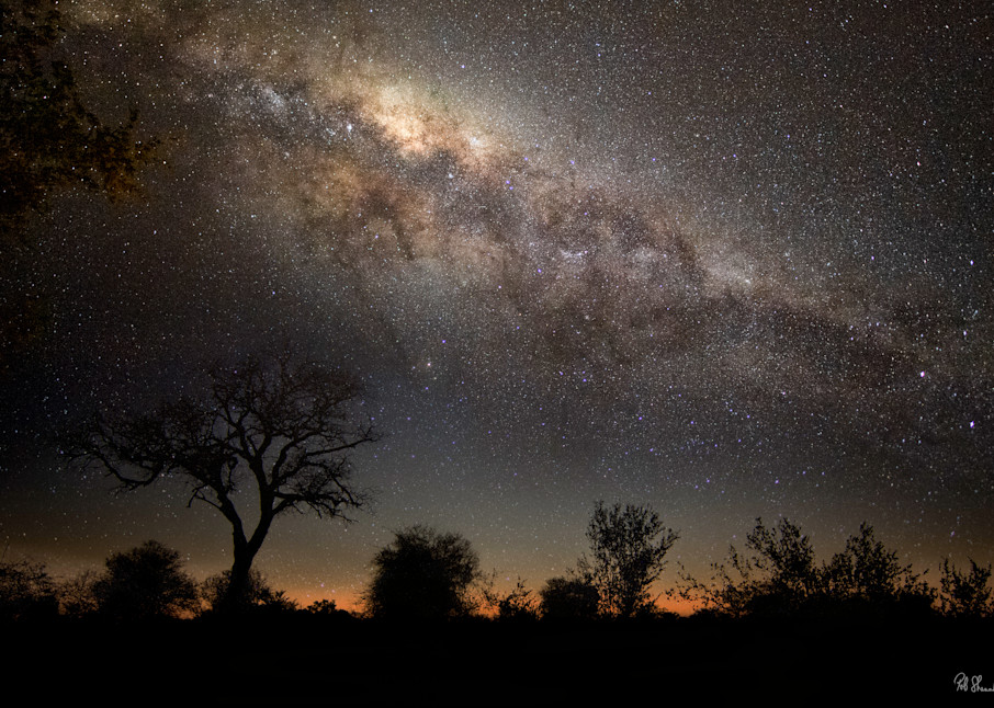 Milky Way photographed in Kruger National Park, South Africa, by Rob Shanahan
