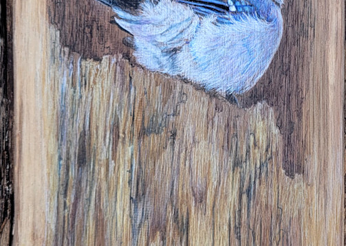 Blue Jay #2 Art | Lori Vogel Studio
