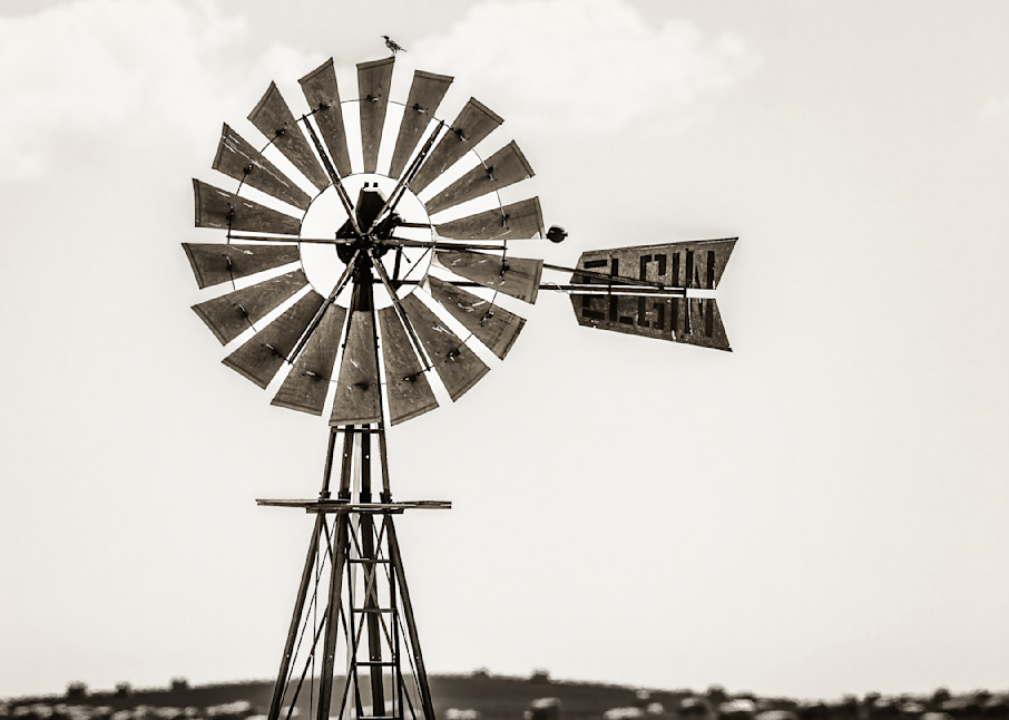 Bird on a Windmill — North Dakota fine-art photography prints