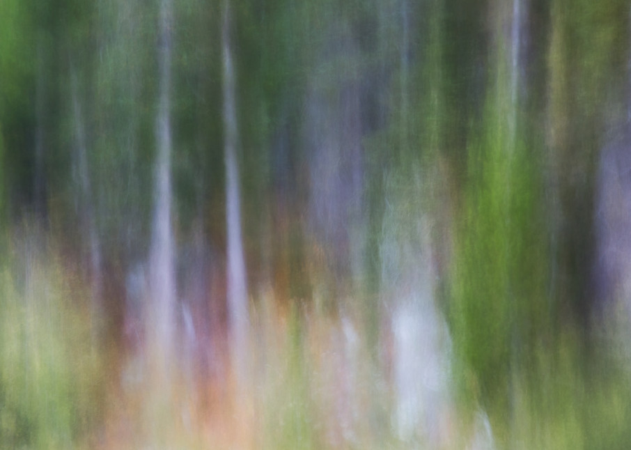 In the Forest 2 | Abstract forest