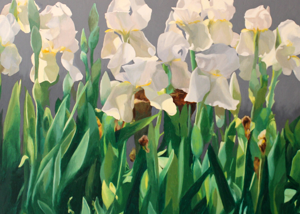 White Iris In Huntsville Art | Helen Vaughn Fine Art
