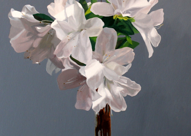 White Azaleas Art | Helen Vaughn Fine Art