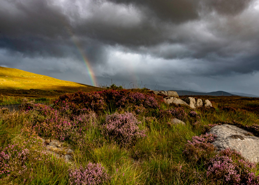 Highland Rainbow