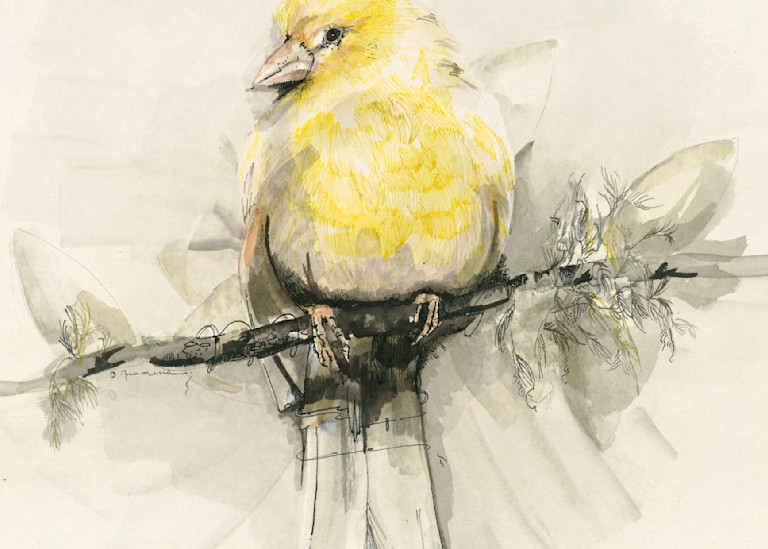  Yellow Bird (1984) Art | betsynaumchik