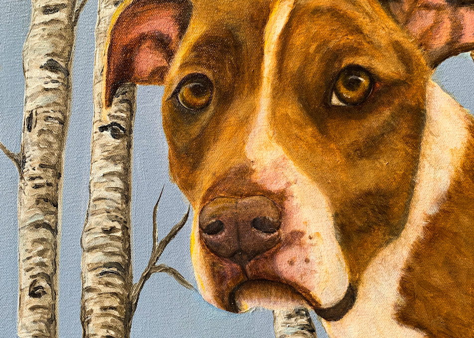 Bubba In The Aspens Art | Paintings by Kathy Webb/Whimsy Fit